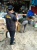 Disinyalir Non Cukai, Bea dan Cukai Gerebek Rokok FTZ 